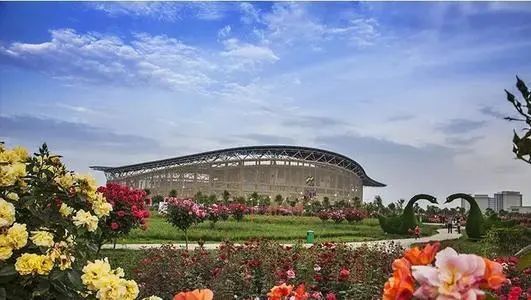 南阳|南阳开启升温模式，再遇20℃的暖～