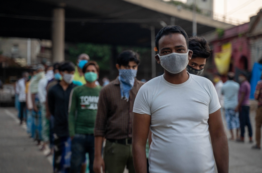 印度_军事|印度为了抗疫费尽脑汁！训练军犬探测新冠病毒，号称准确率达95％