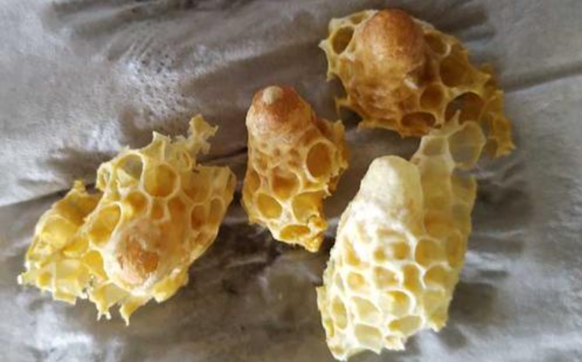 雄蜂|又到蜜蜂繁殖期，雄蜂脾割除有技巧，这招要靠算，附详细步骤