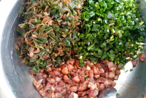 马齿苋|菜园的多肉植物，从叶到根都能吃，遇到了别迟疑，包饺子是一绝