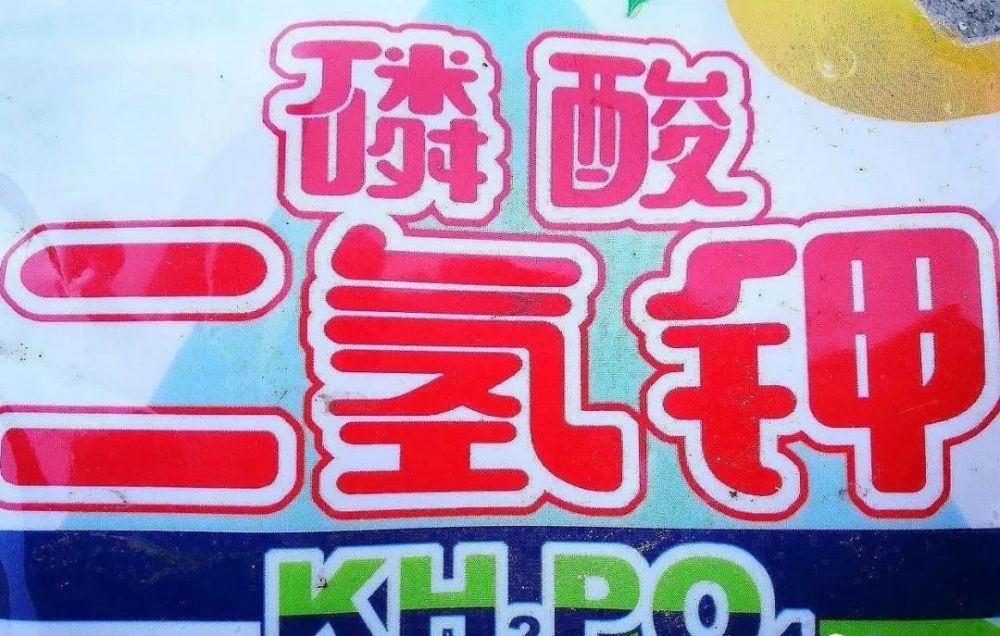 兰花|兰花服盆期间可以喷叶面肥吗？3个重要环节，兰友一定要知道