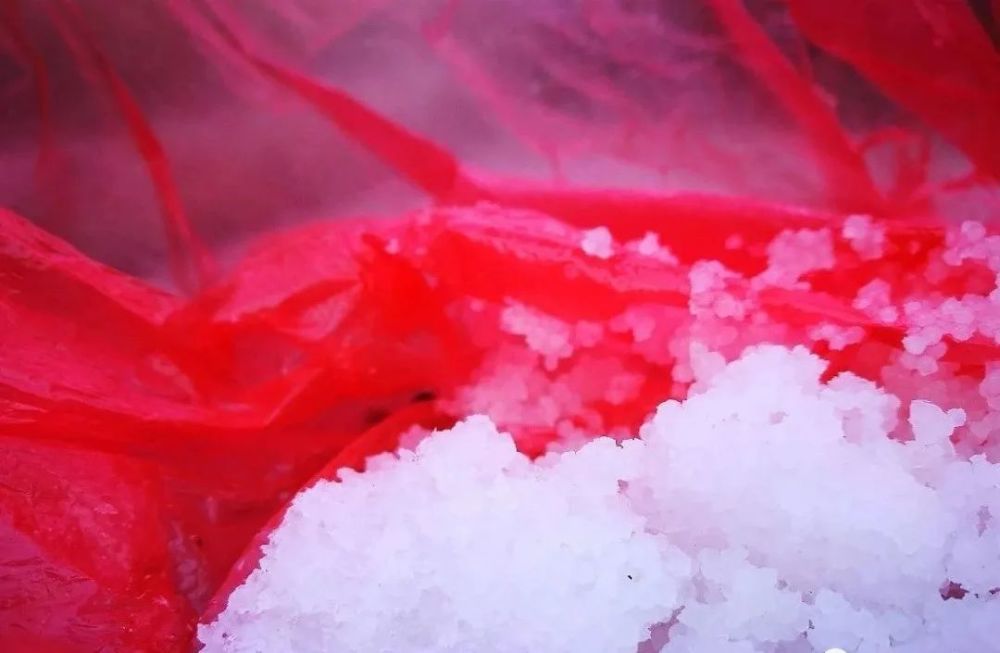 兰花|兰花服盆期间可以喷叶面肥吗？3个重要环节，兰友一定要知道