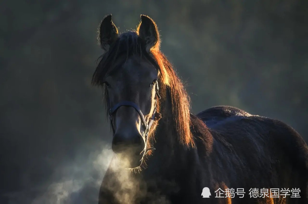 增广贤文 里的古代名言警句 腾讯新闻