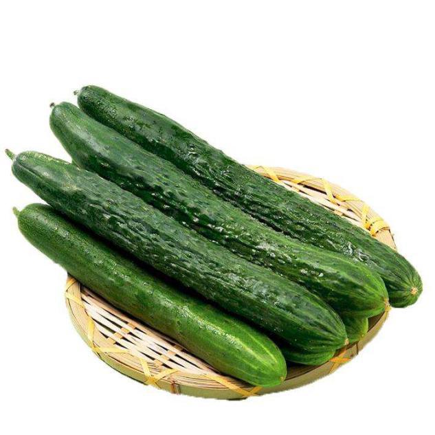 黄瓜|夏季黄瓜销量好，不法商家可能会打激素，要怎么分辨好坏，我教你