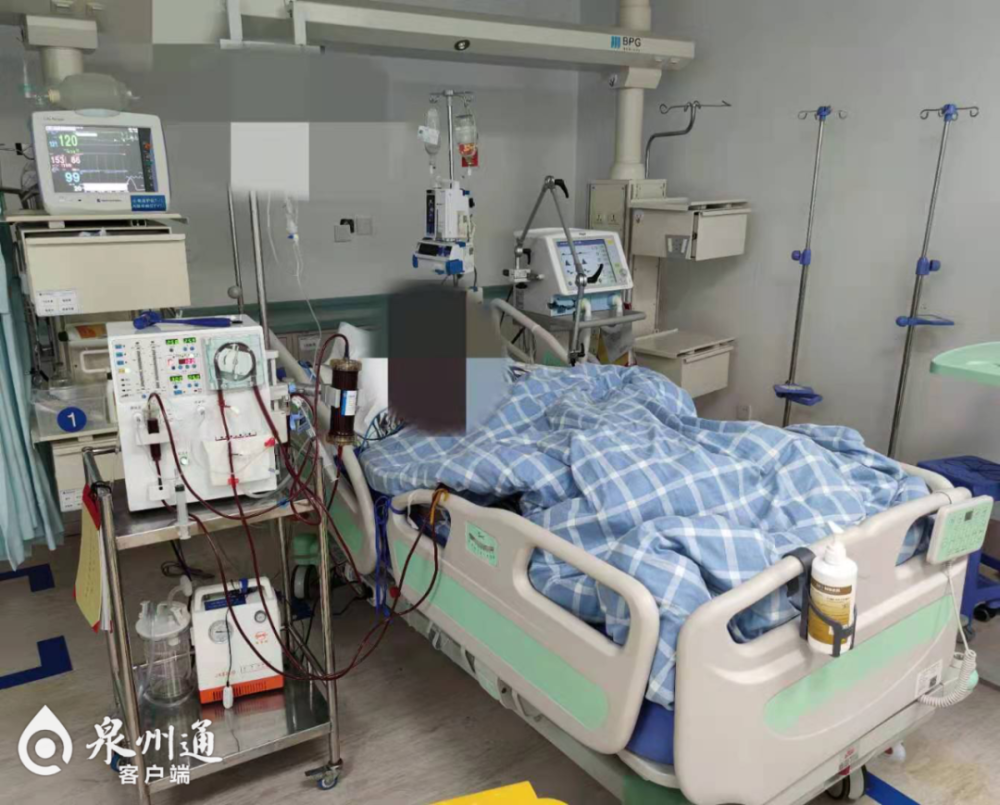 河豚|警惕！泉州多人食用这种鱼被紧急送医……