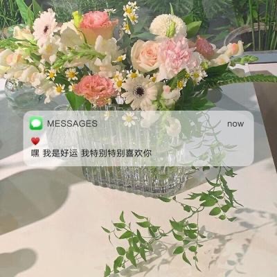 imessage短信文字背景圖個性又治癒