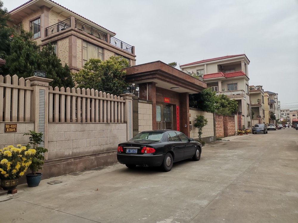 广东农村自建豪宅