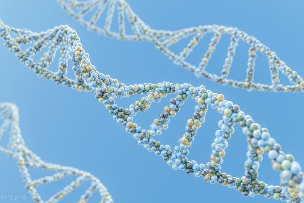 人工智能|科技领域未来五年的热门，高考志愿要往这些方向报么？