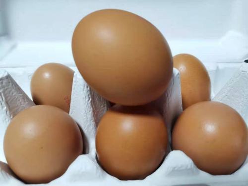 惊蛰|惊蛰吃啥？除了梨，还有这些可以选