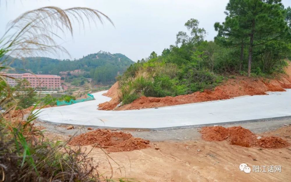 陽江市竹篙山森林公園像傳說中的秋名山將來考驗車技