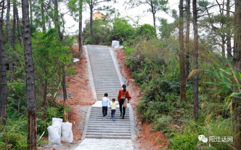 陽江市竹篙山森林公園像傳說中的秋名山將來考驗車技