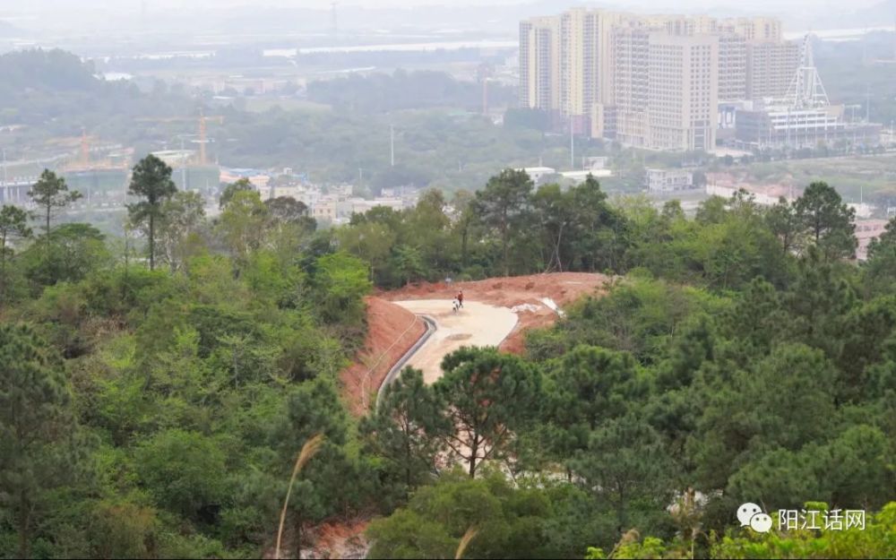 陽江市竹篙山森林公園像傳說中的秋名山將來考驗車技