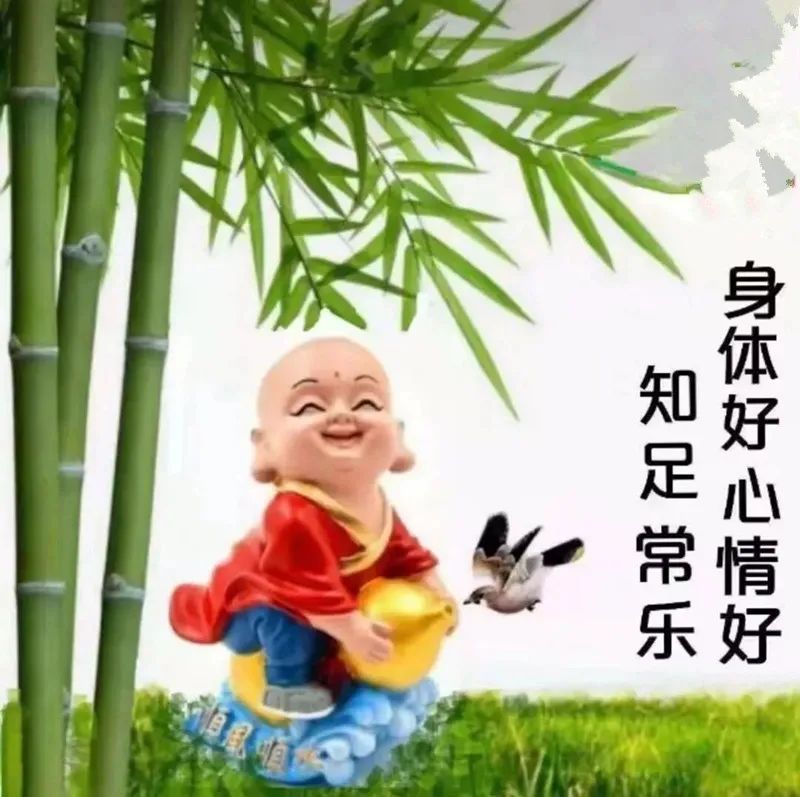 唯美意境真的很害怕和大家错过!