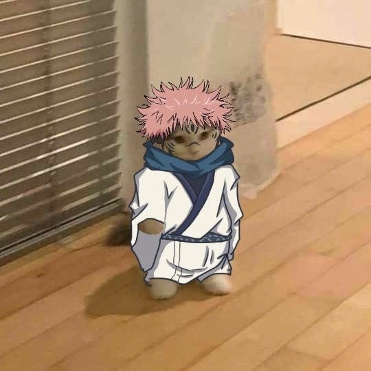 咒术回战咒术喵战这到底是是谁做的啊可爱死了哈哈哈哈