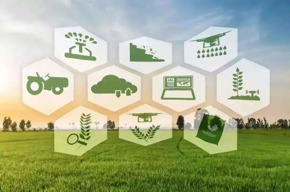 中提出,应大力提升农村数字化生产力,加快弥合城乡数字鸿沟,推动农业