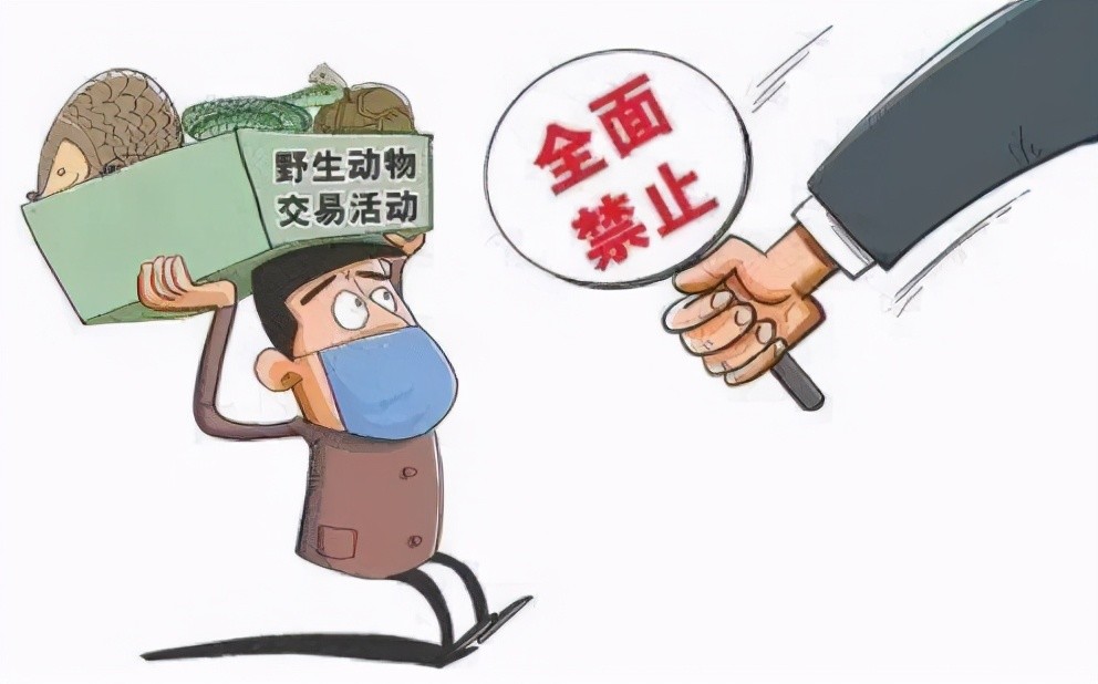 大庆9部门联合打击野生动物非法贸易活动公布举报电话