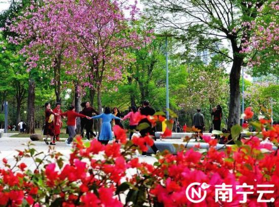 阴雨|南宁人，太阳刚现身就离场 未来3天阴雨依旧