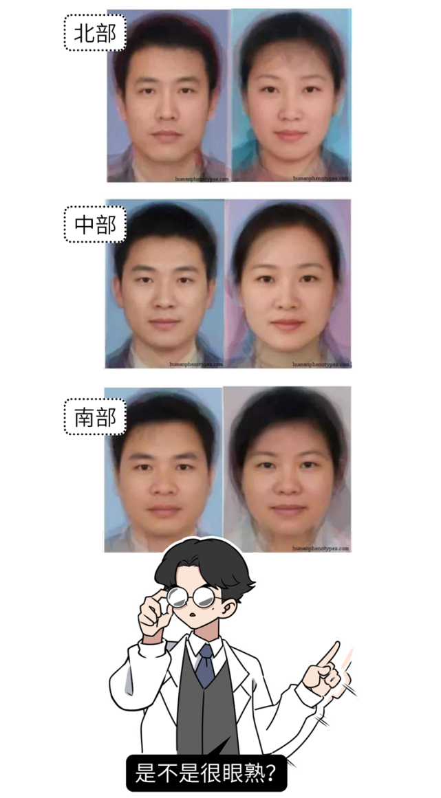 即由多个人合成的一张脸来看看中国北部,中部,南部的平均脸长相愈发