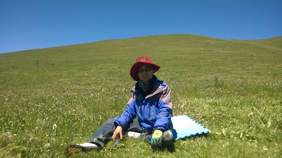 病原体|“万万没想到”：牛羊吃草还能拯救草地！