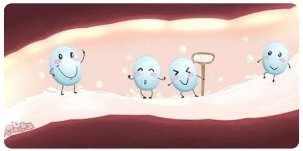 益生菌|乙肝膳食辅助研究，加拿大科学家发现，益生菌降低HCC新机制