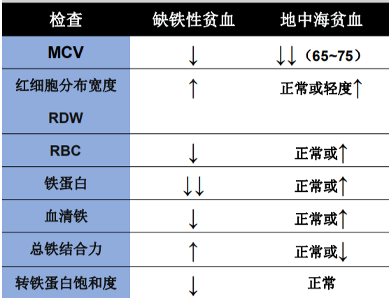 贫血分类图片