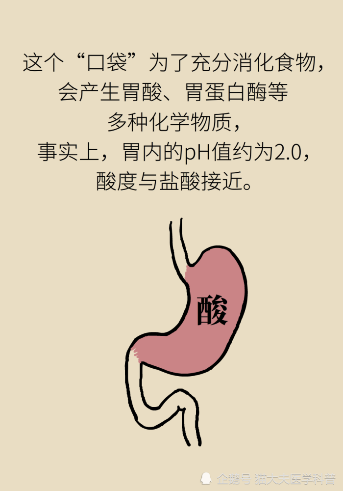 胃疼|“气得胃疼”是真的？原来胃还是个情绪器官