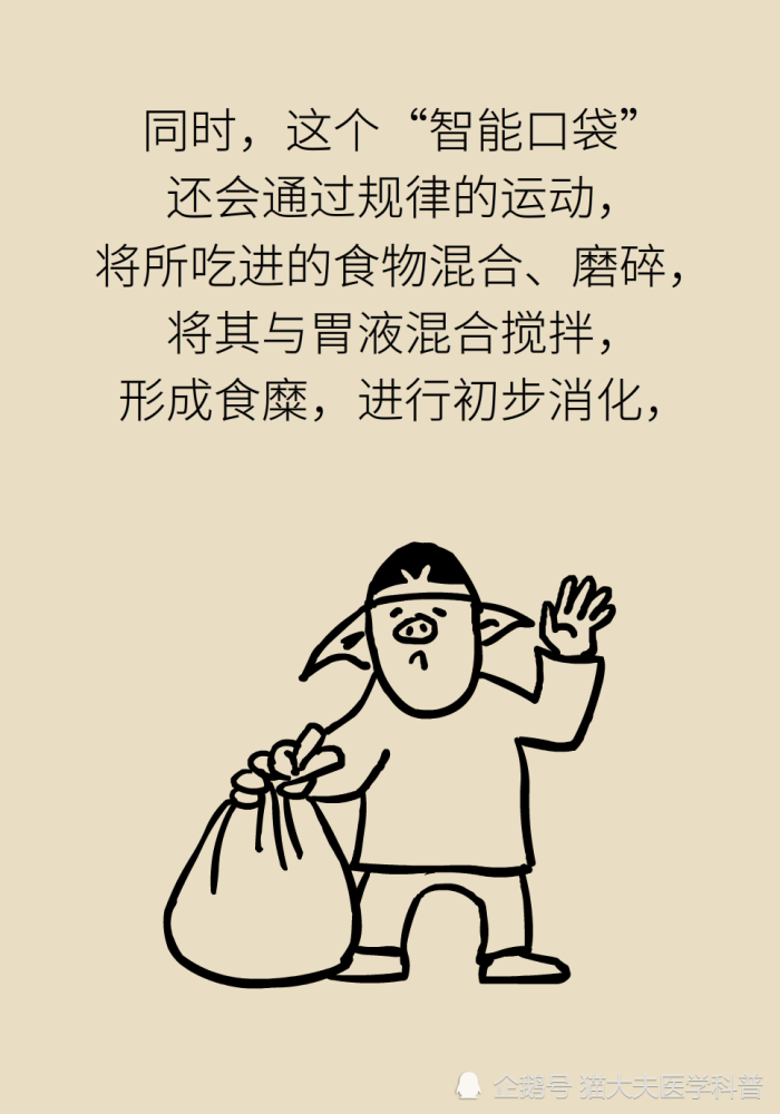 胃疼|“气得胃疼”是真的？原来胃还是个情绪器官