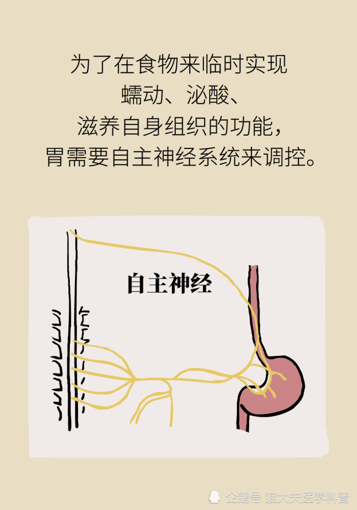 胃疼|“气得胃疼”是真的？原来胃还是个情绪器官