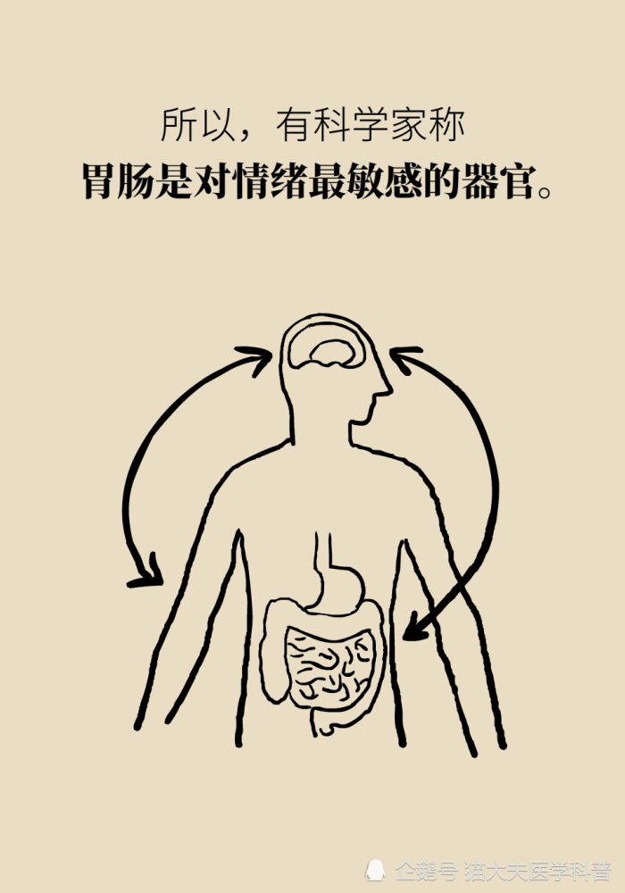 胃疼|“气得胃疼”是真的？原来胃还是个情绪器官