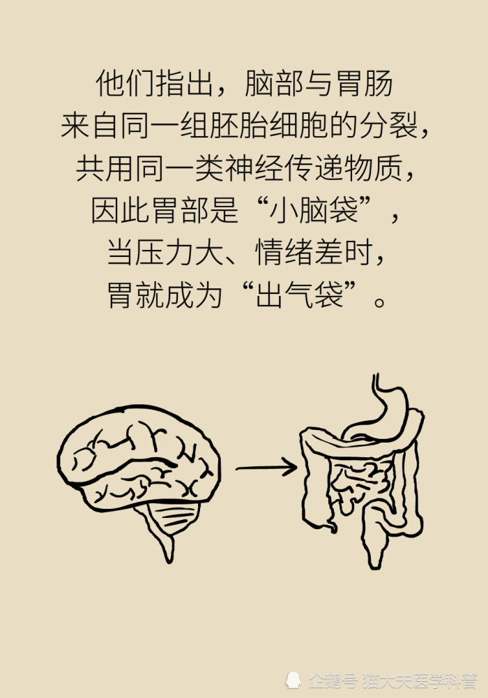 胃疼|“气得胃疼”是真的？原来胃还是个情绪器官