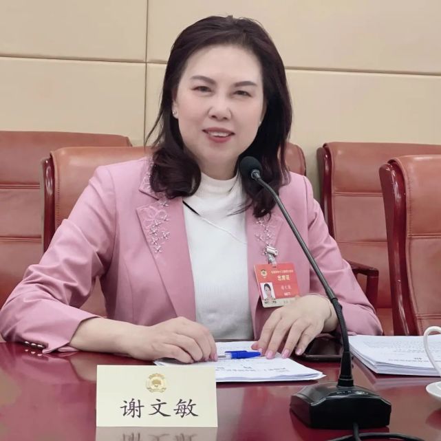 全国政协委员,湖北首义律师事务所主任谢文敏今年带了7件提案上两会