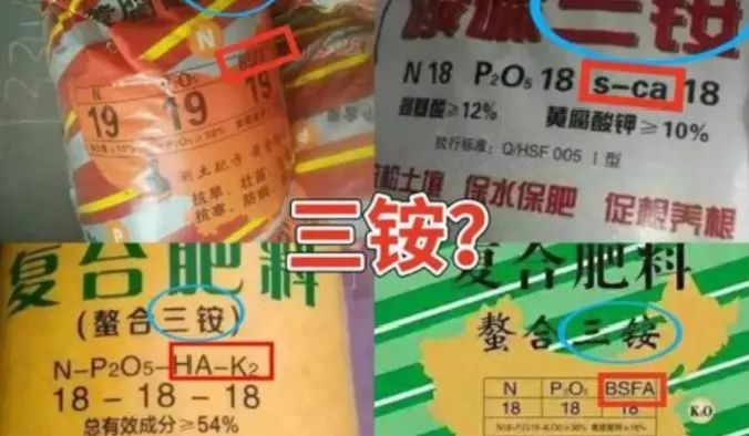 字母TE、TM、HA、HAK等都代表什么意思