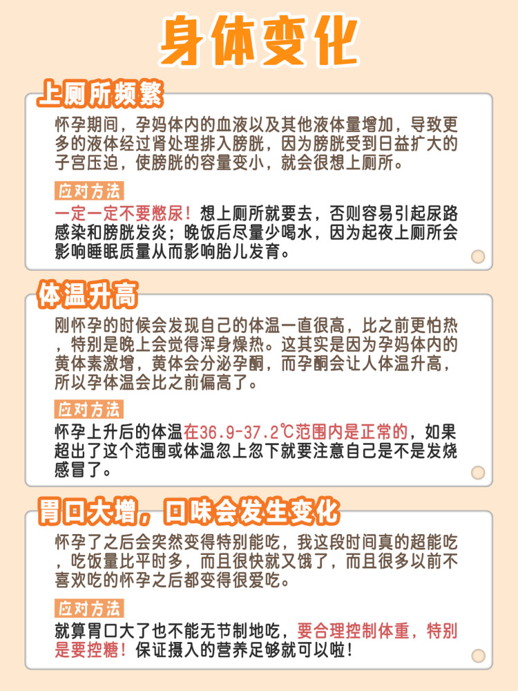 孕早期准妈妈要做的事,孕期注意事项