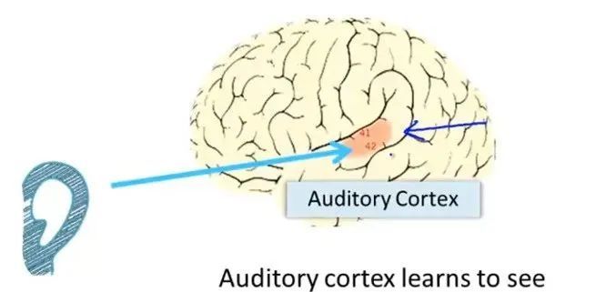 音乐|为什么别人唱歌要钱，你唱歌要命？
