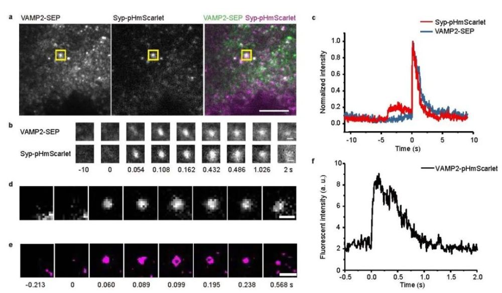探针|徐平勇课题组在pH敏感探针上取得重要进展
