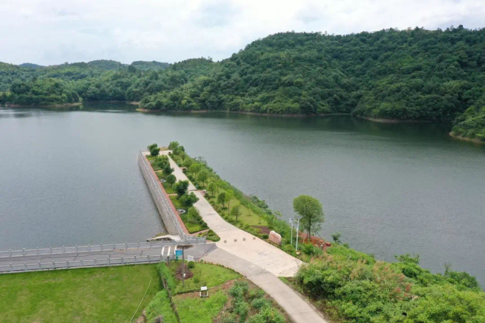 水库自建库以来从未清过底,这里山清水秀鱼儿肥,最大的鱼有两百多斤.