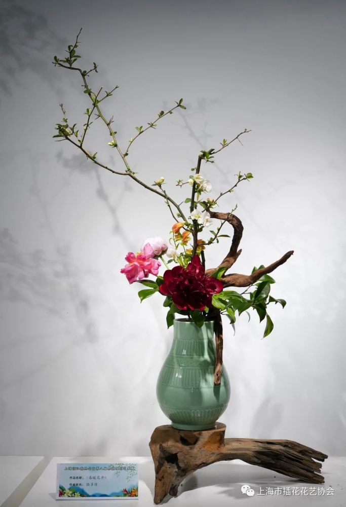 云赏第八届果蔬插花展优秀作品,展出只剩1周时间咯_腾讯新闻