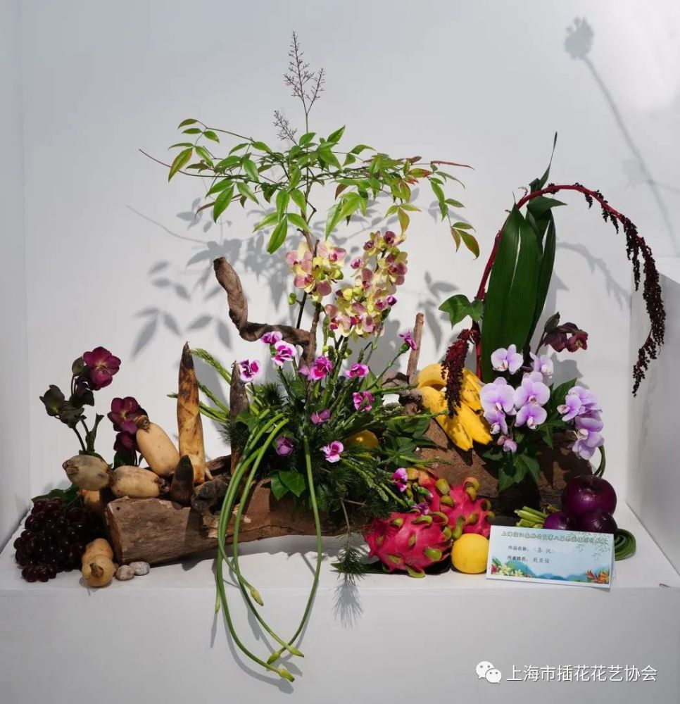 云赏第八届果蔬插花展优秀作品展出只剩1周时间咯