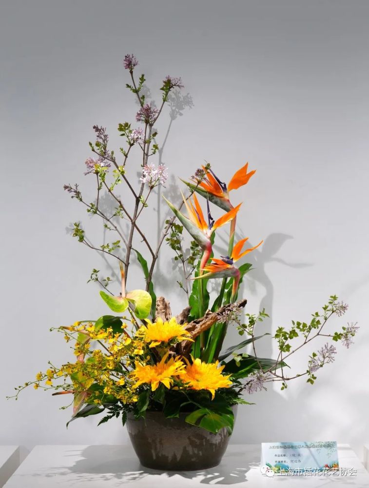云赏第八届果蔬插花展优秀作品展出只剩1周时间咯