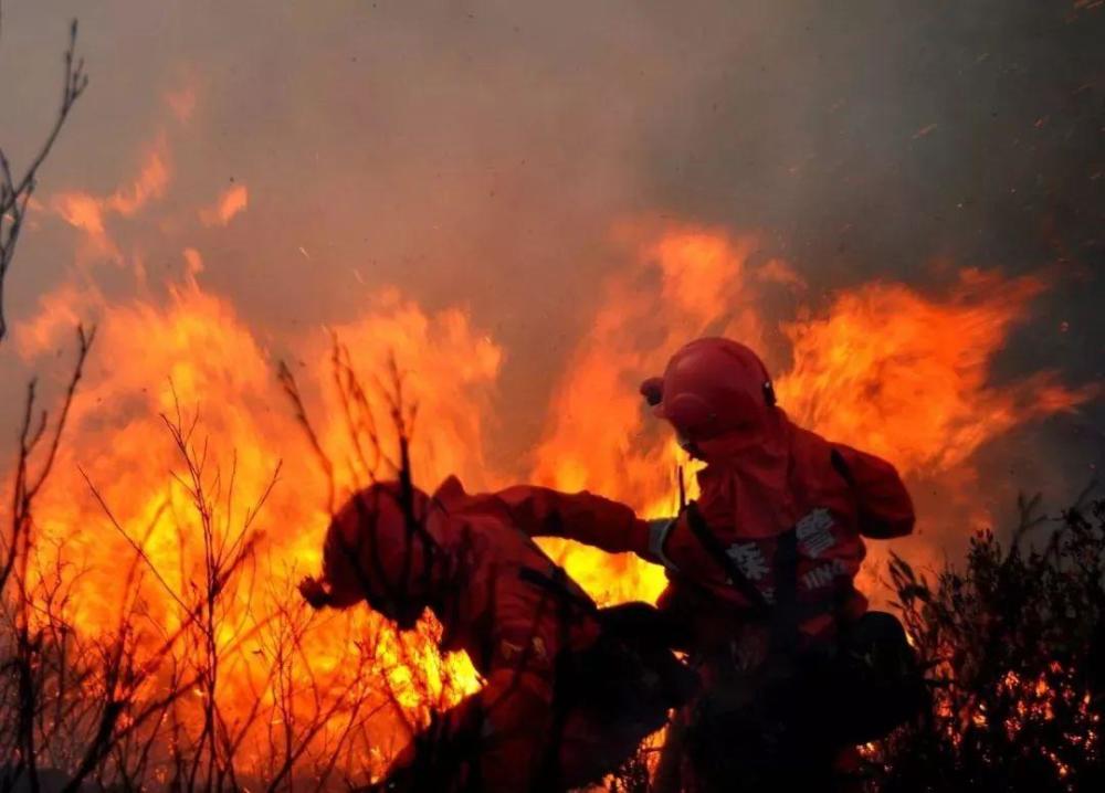 森林大火30人牺牲图片
