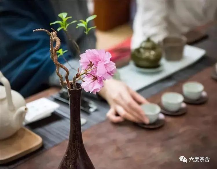 喝茶的女人永遠保持著花樣年華