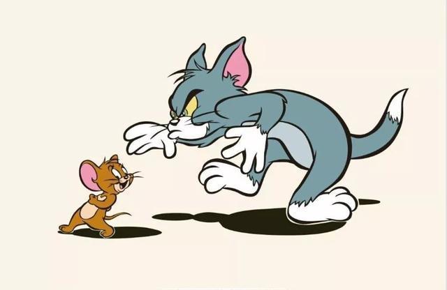 猫和老鼠电影评分仅55分这波卖情怀输了还是我们长大了