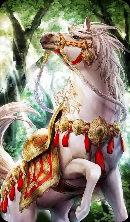 5,白龙马的负重前行