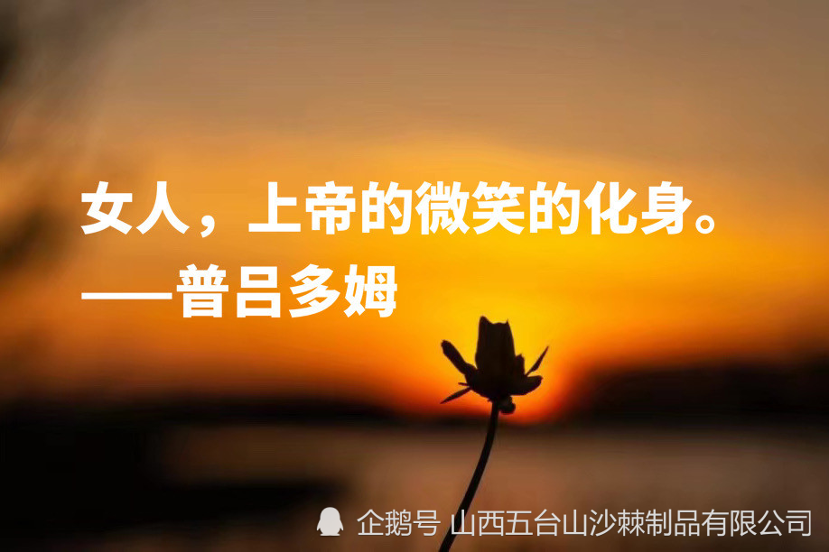 六条名言金句 送给节日里的你 腾讯新闻