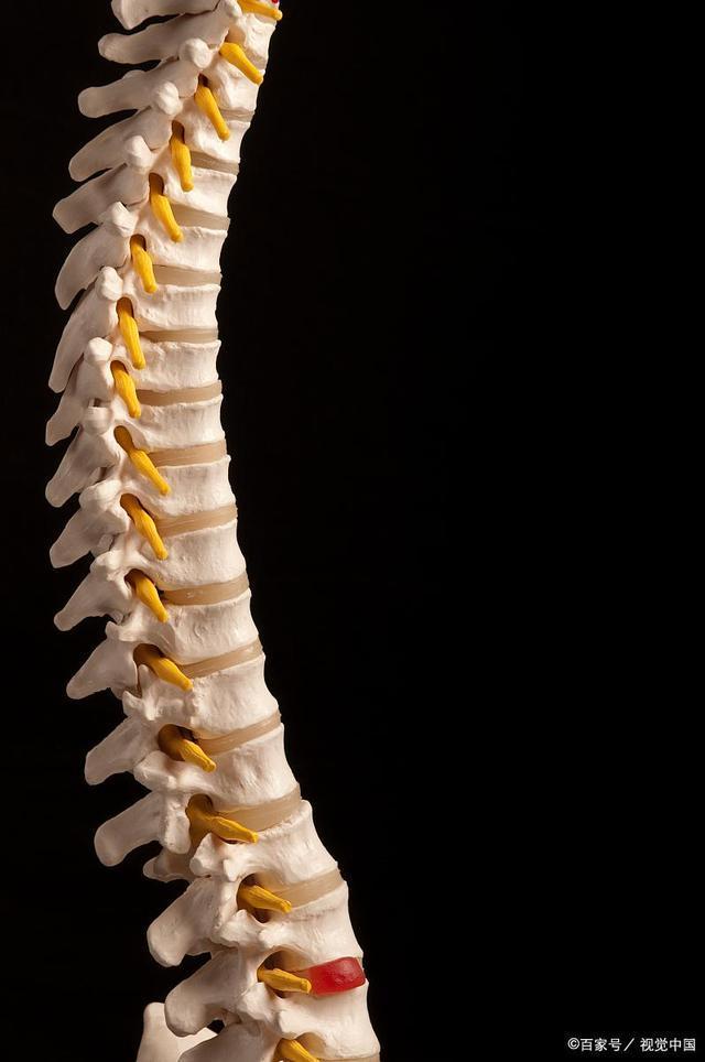 每天久坐的人,腰背部这些异常可能是腰椎发出的信号,要及时纠正