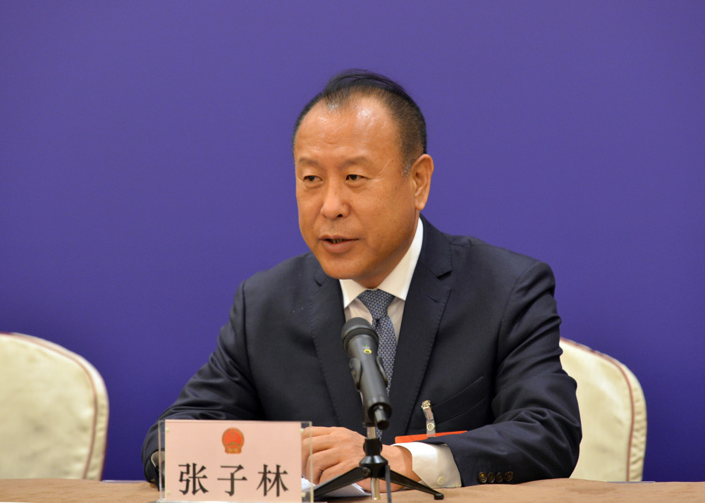 全国人大代表张子林:种好"黑土地" 发展"现代化"齐齐哈尔将通过攻坚