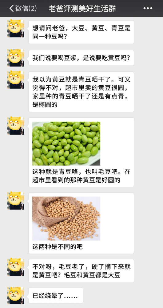 大豆|黄豆大豆毛豆红豆黑豆豌豆，到底谁是谁啊？