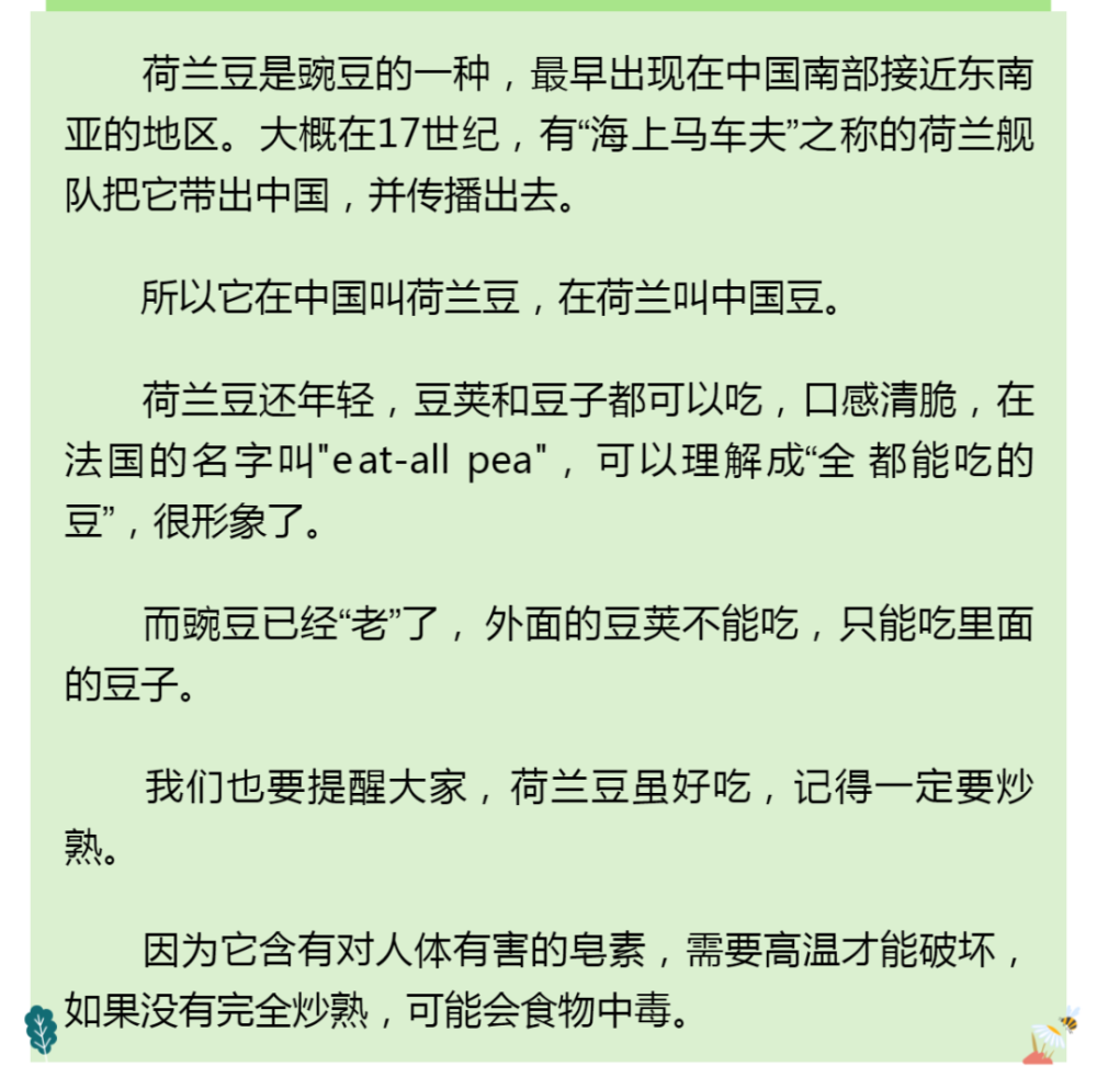 大豆|黄豆大豆毛豆红豆黑豆豌豆，到底谁是谁啊？