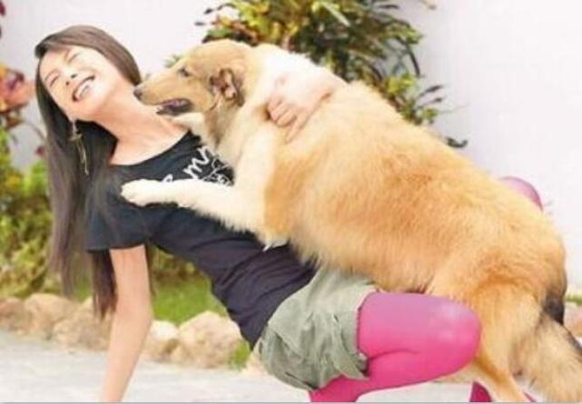 为何公狗越来越受女孩们的欢迎?