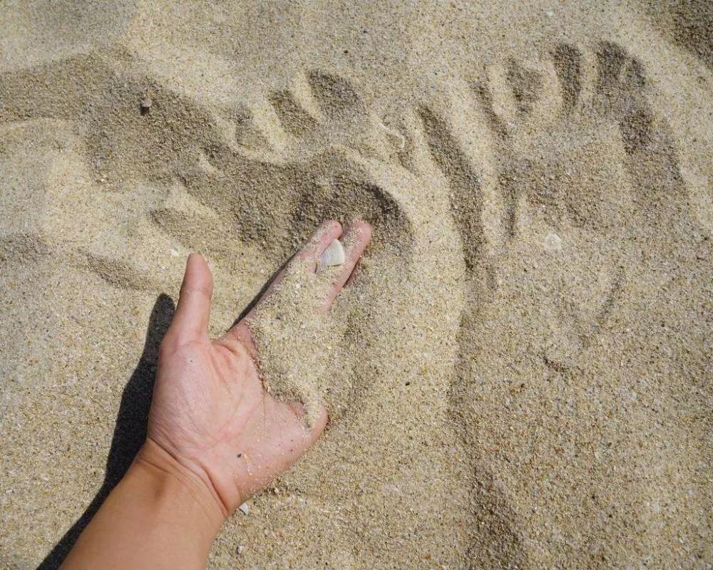 沙子|年消耗500亿吨！人类文明“基石”将消耗殆尽，你还能熟视无睹吗？